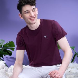 Mens 100% Cotton  Wine Half Sleeves Expert Tee - ET16